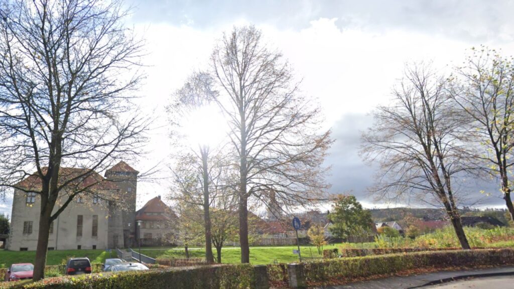 Burg Horn und Stadtkirche Horn im Hintergrund in Horn-Bad Meinberg im Kreis Lippe (Foto von der Straße Potthof)
