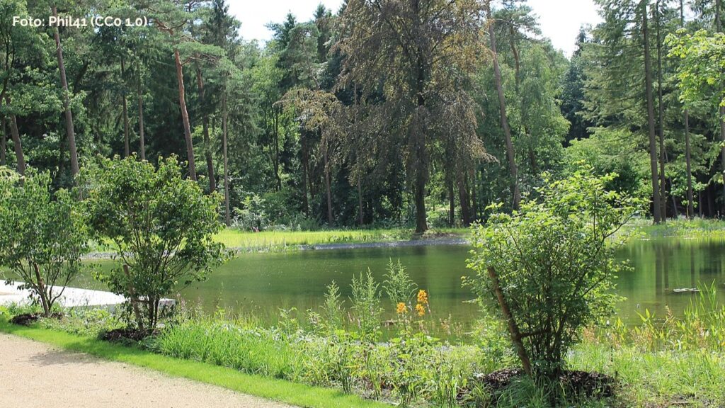Der Waldpark mit Blick auf die „Mersmannteiche“, Bereich der Landesgartenschau 2017 in Bad Lippspringe (Foto: Eigenes Werk Phil41 Quelle: Wikipedia; Lizenz: CC0 1.0 Universal)