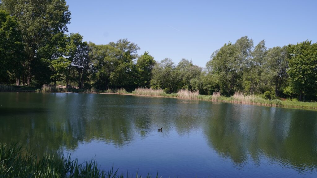 Ochsensee in Schlangen im Kreis Lippe