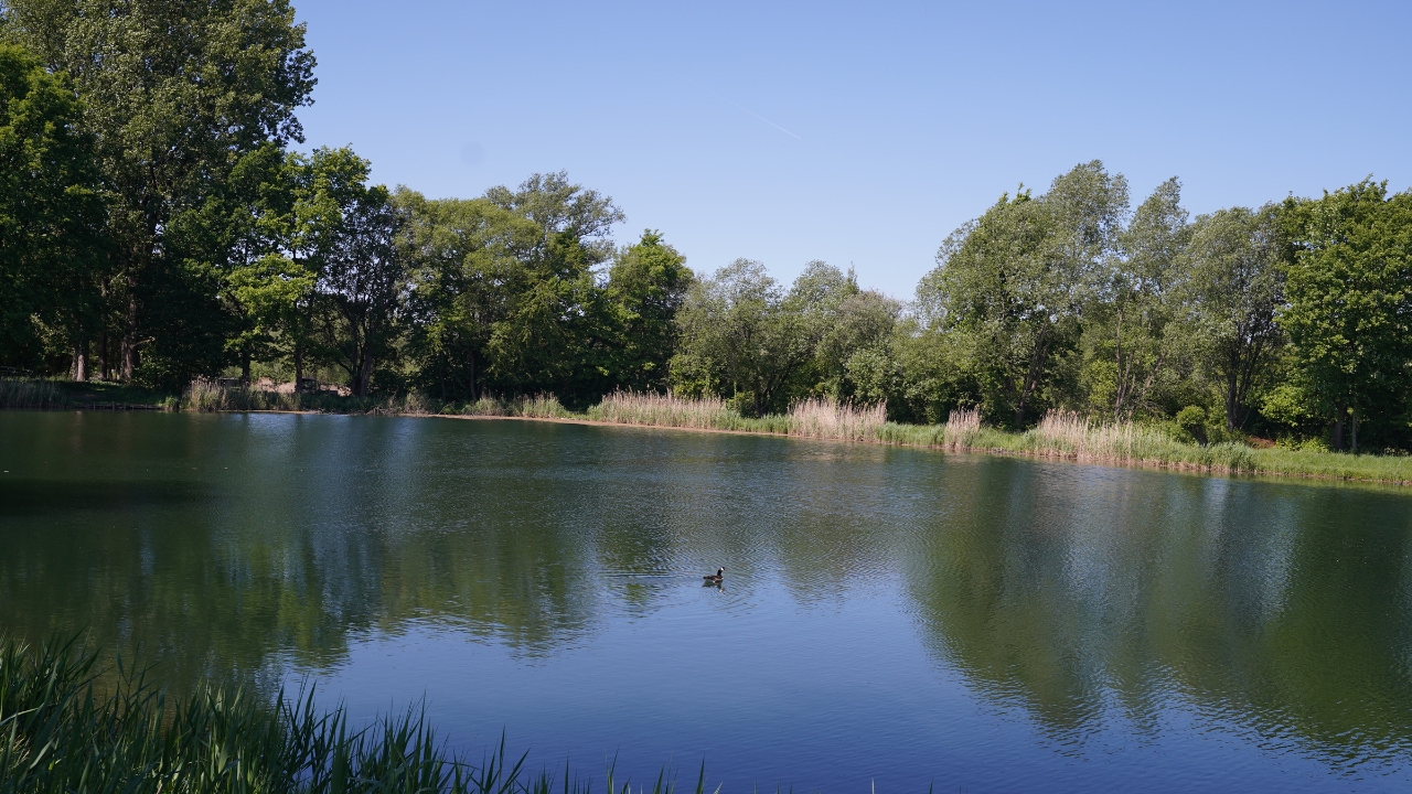 Ochsensee in Schlangen im Kreis Lippe Ochsensee in Schlangen im Kreis Lippe